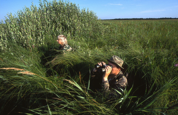 Bielorussian ornithologist in Dzikaje peat-bog observing from di
