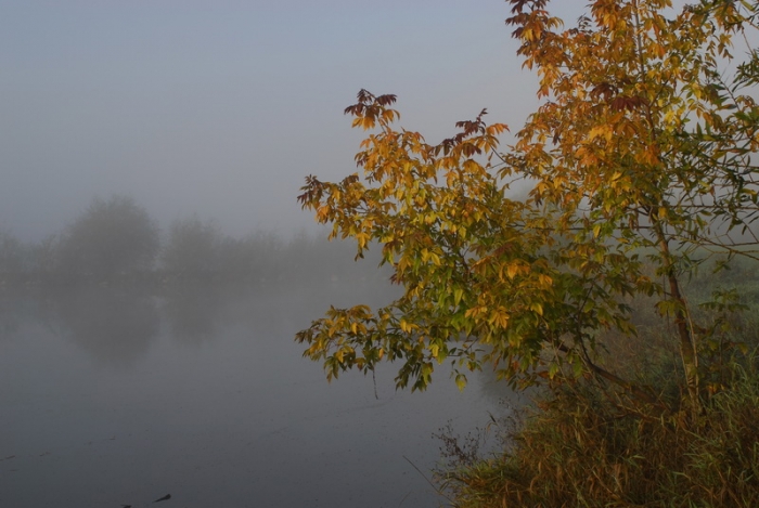 Jesienny swit nad Wisla - okolice wsi Kochów (gm. Maciejowice)