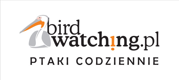 2013 – BirdWatching.pl – Patronem Medialnym Festiwalu