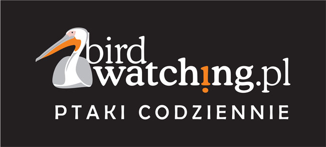 2017 – Wortal www.BirdWatching.PL Patronem Medialnym Festiwalu